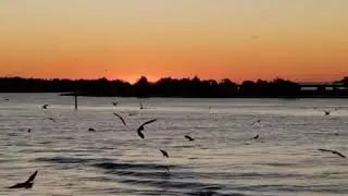 Beaufort  NC