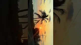 Sunset 🌤️ #electronicmusic #sunset #costagrande