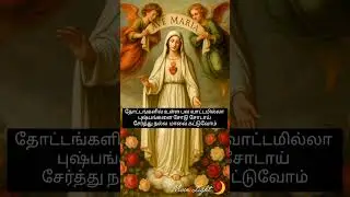 Christian devotional song 🎵 in Tamil/Moon Light🌙#bible#song#tamil#christianmusic#jesus#christiansong