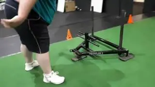 The Prowler - Love it or Hate it?