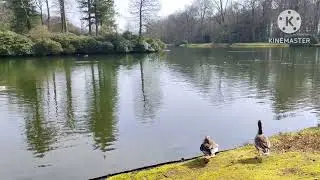 Paleis Het Loo Garden