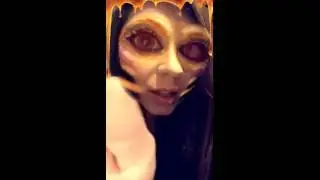 ASMR Video #1 Relaxing Bee ASMR