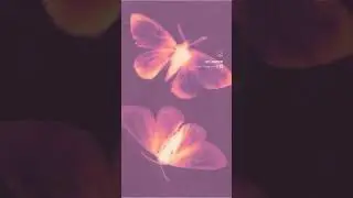 Gemini Season #gemini #geminis #geminihoroscope ##geminiseason