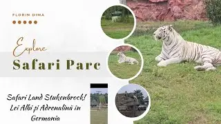  Aventură incredibilă la Safari Land Stukenbrock! 🦁 Lei Albi și Adrenalină în Germania 🇩🇪