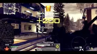 Vivid Domain: Final Teamtage