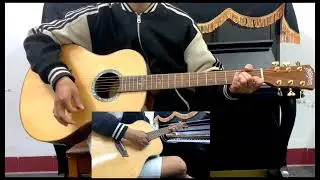 Demo đ&agrave;n Guitar Washburn Bella Tono Series elegante s24s