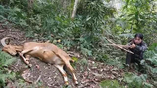 200 Days of Survival in the Wilderness: Setting Traps for Wild Goats, Building a New Shelter