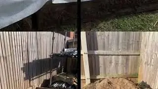 Koi carp pond 2020