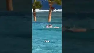5 дней, чтобы изменить свою жизнь 🚀 (Бесплатный челлендж!)