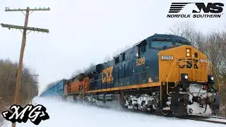 Not-So-Foreign Power Leads an NS Manifest