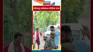Tiger Attacks Woman In Balasore | Kanak News Shorts