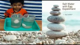 Science experiment-Salt Water with Egg Experiment kidsfriendly simple school project,egg experiment