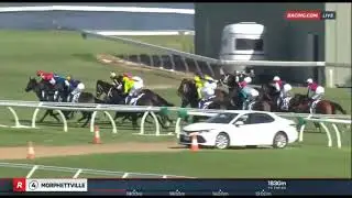 Athanatos - Chairman's Stakes 2000m Group 3 2025 - Ridden by Dan Stackhouse