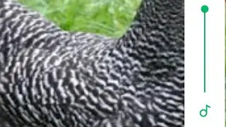 ANZA LEO: LAKI 150,000 VIFARANGA 100, CHAKULA MIFUKO YA KILO 50 6 MWEZI MMOJA NA WIKI 2. UNAWEZA.