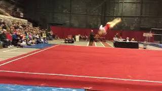 Savannah Remkus Floor vs. NIU 1/24/20 (9.775)