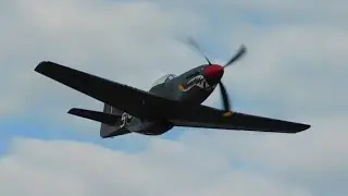 Incredible Low P-51 Mustang FlyPast Over London Southend Airport 14/07/2016
