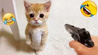Funniest Cats and Dogs Clips 2025😼🐶Try Not To Laugh😜 Part 14