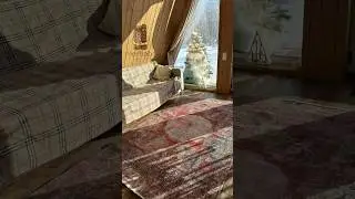 Безворсовый ковёр в Merhaba carpets. Идеален для любого помещения!  