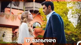 ცივი გული 17-ე სერია