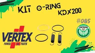 O ring vertex curva PRO CIRCUIT KDX200   #85