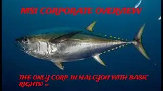 MSI Corporate Overview-Outer Worlds