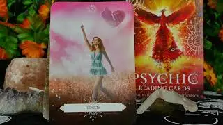 Psychic Reading Cards Flip Through