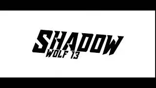 Intro For ShadowWolf13!