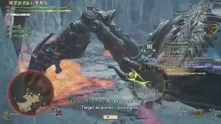 Monster Hunter Wilds x Final Fantasy XIV_9 Stars Omega Planetes Savage_Sword Shield_Family Hunter