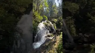 Steelhead Falls hike in Mission, BC #hiking #adventure #waterfall #mission #roadtrip #steelhead