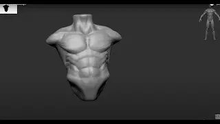 Zbrush Torso Sculpt