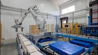 Robotic Case Palletising Solution | RM Group