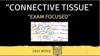 Connective Tissue || Structure || Functions || Tissue Level of Organization