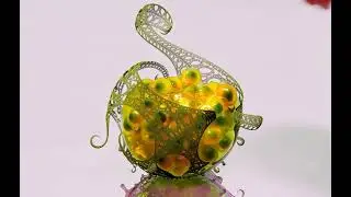 Fractal fruit squeeze ASMR