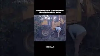 Logging Equipment Hidding in the Bushes #restoration #repair #recovery #engine #willitrun #replace