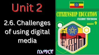 2.6. Challenges of using digital media