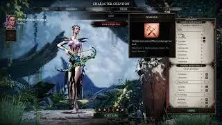 DOS2 Beginner friendly guide: How to build a ranger (Magic party)