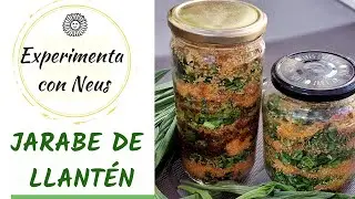 Jarabe de llantén 🌿