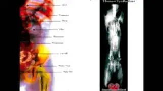Jonathann Cast - Ms20 Paradise (2005).avi