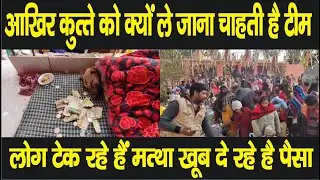 लोगो की लग रही है लंबी लंबी लाइन कुत्ते को आखिर क्यों ले जाना चाहती है डॉक्टरों की टीम