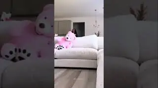 Teddy Bear Prank: You Won't Believe This Thing Moved!