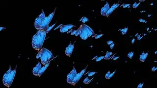 🦋 Butterfly Overlay 🦋