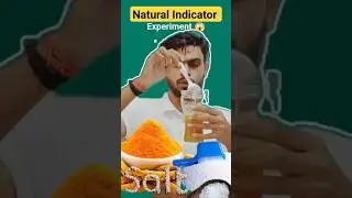 Natural Indicator Turmeric l acid base l #acidbase  #shorts #chemistry #experiment