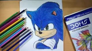 how to draw realistic sonic the hedgehog using Doms colour pencils /peace dragon yt
