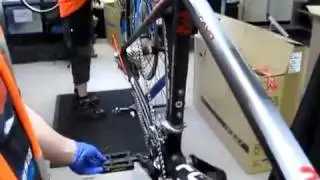 Gear Shifting and Trim Adjustment by Wiggle experts
