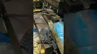 Buckle production