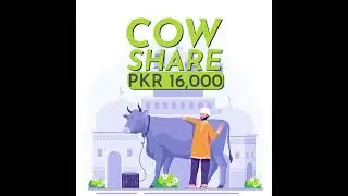 Book Your Share Online Today | Collective Event 2023 | Saylani