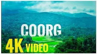The Coorg rain nature | Road | Green Forest | 4k video