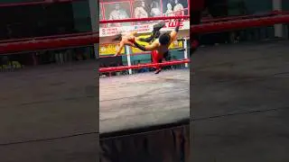 Wrestling match😱 #wrestling #gym #cwe #dropkick #indianwrestler