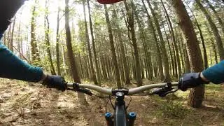 Lockdown Local - A gentle ride to a local spot.