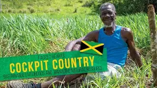 Faces2Hearts in JAMAICA: Reforestation in the Cockpit Country!